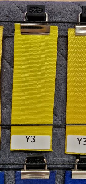 Y3 - yellow